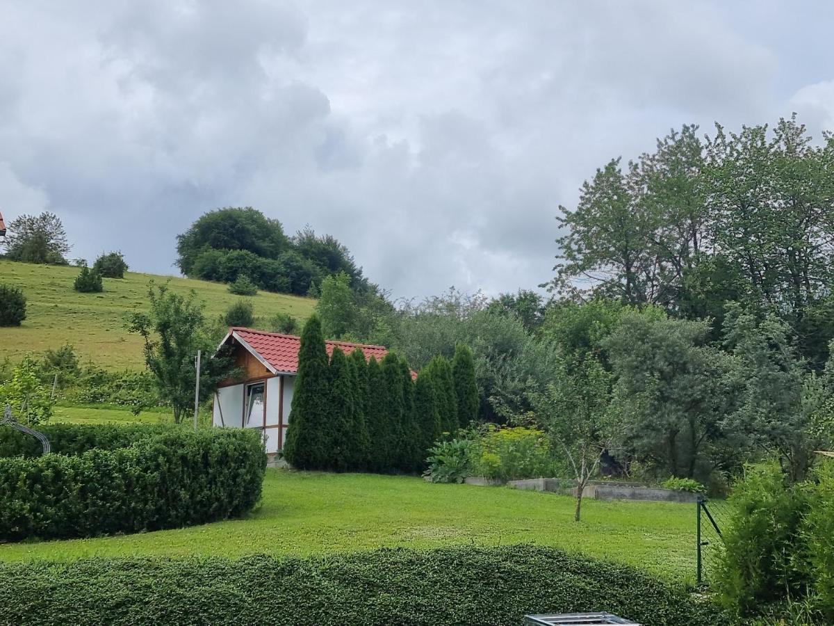 Ferienwohnung Biosphaerenblick Мюнзинген Экстерьер фото